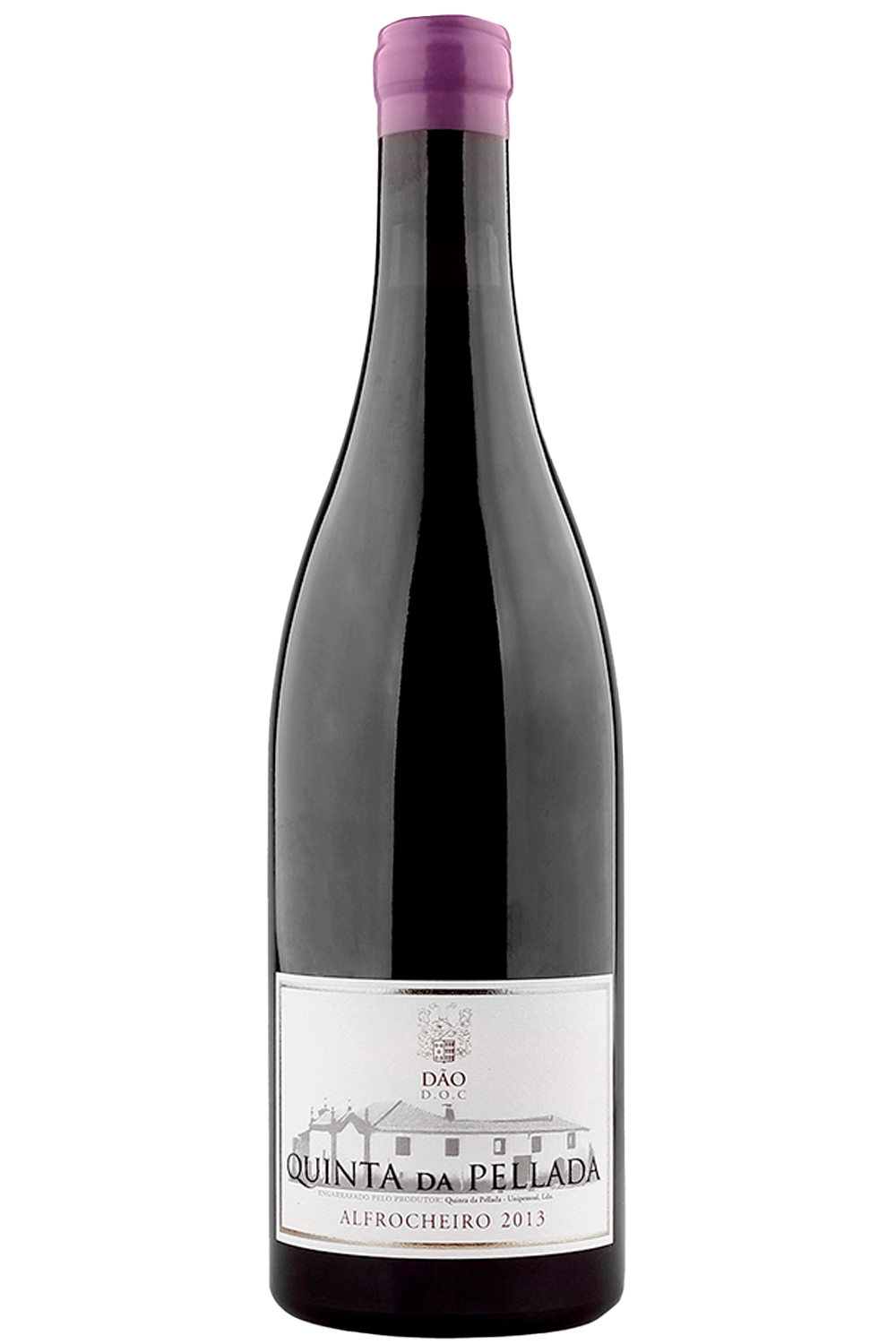 WineVins Quinta da Pellada Alfrocheiro Tinto 2016