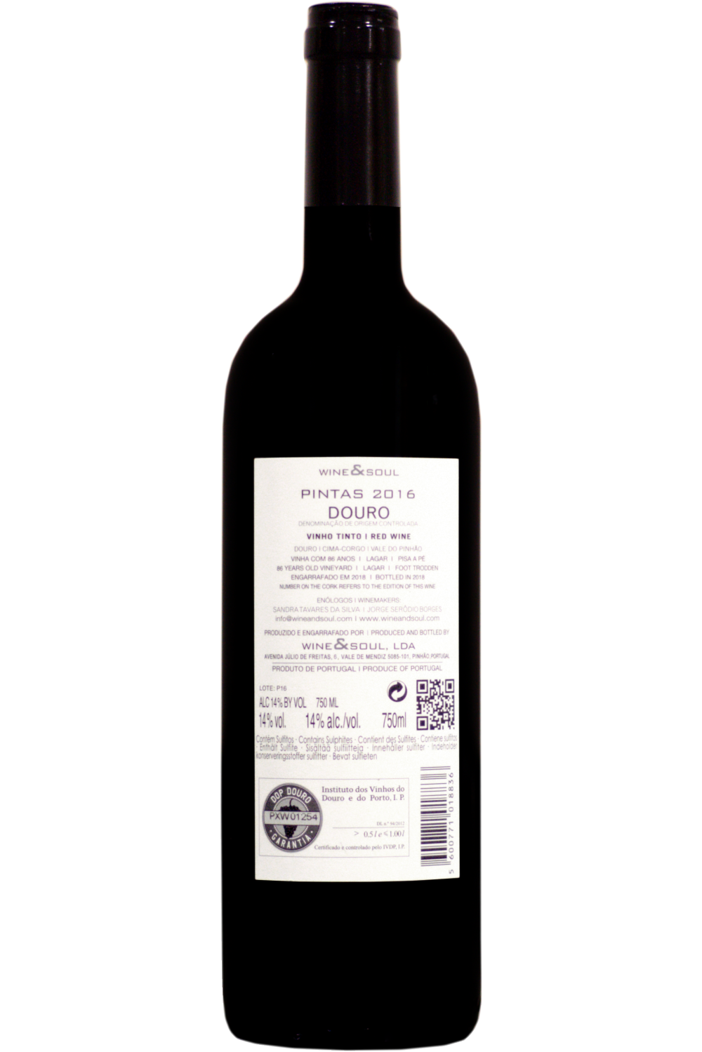 WineVins Pintas Tinto 2016