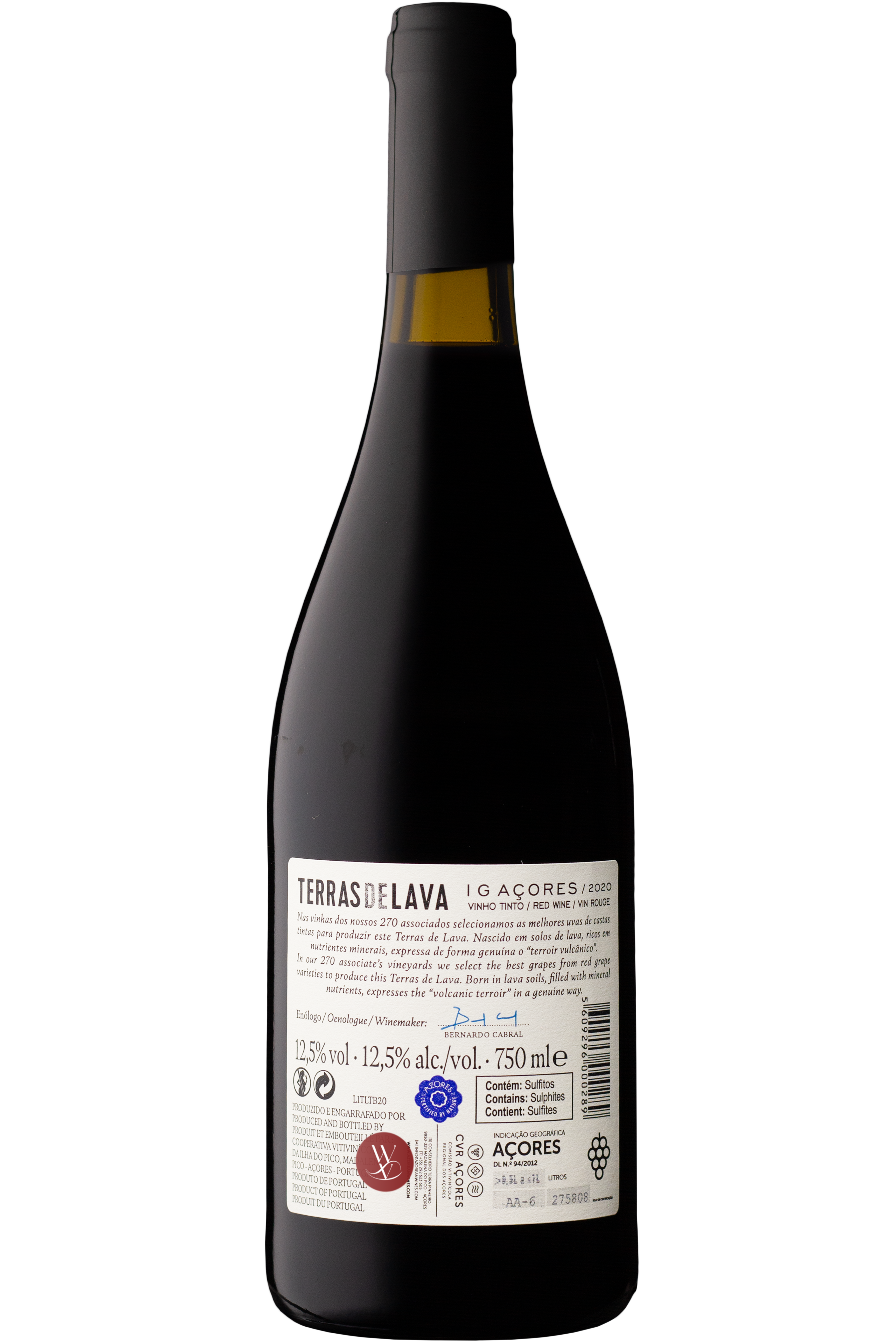 WineVins Terras de Lava Branco 2020 2