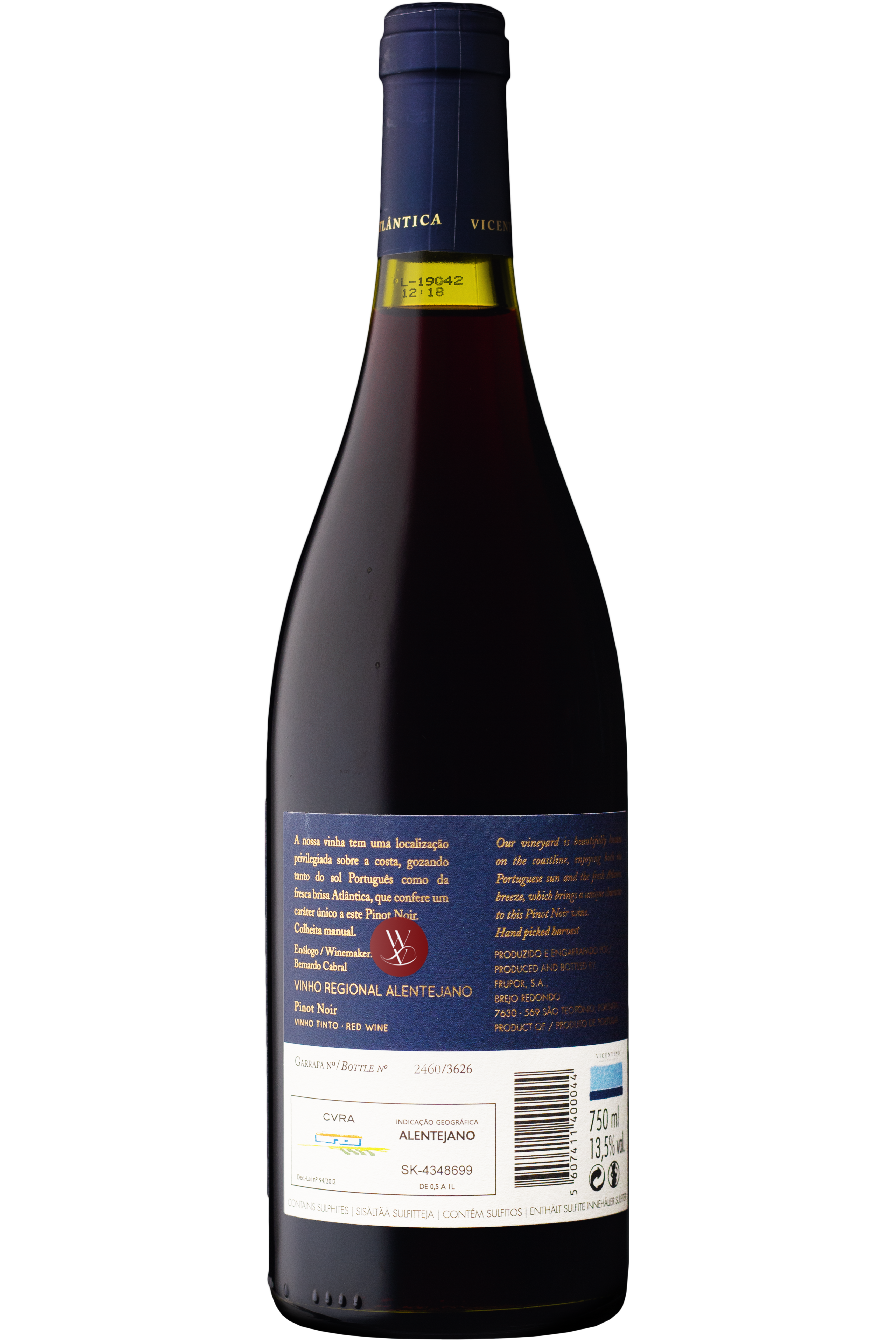WineVins Vicentino Pinot Noir Tinto 2017 2